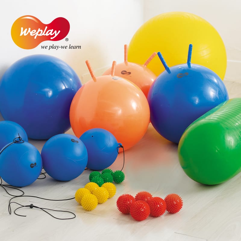 Weplay School Set