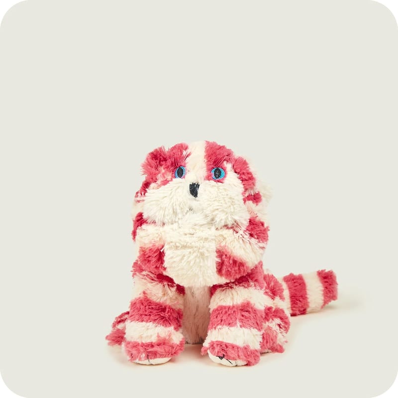 Warmies Soft Toy Bagpuss