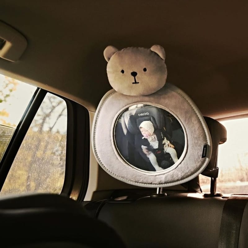 Poled Backseat Mirror XL