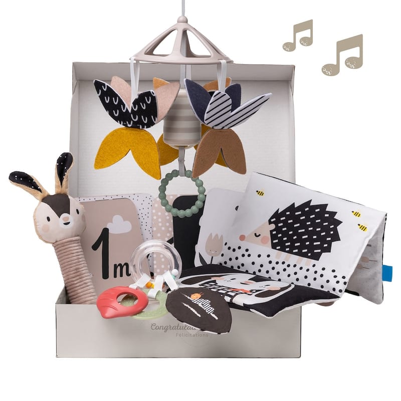 Taf Toys Newborn Black & White Kit | 0 months+