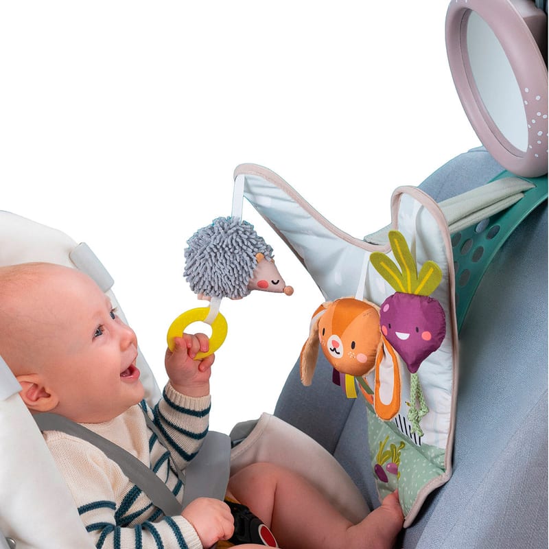 Taf Toys Urban Garden In Car Activity Center | 0 months+