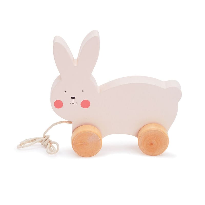 Bubble Wooden Rabbit Pull Along