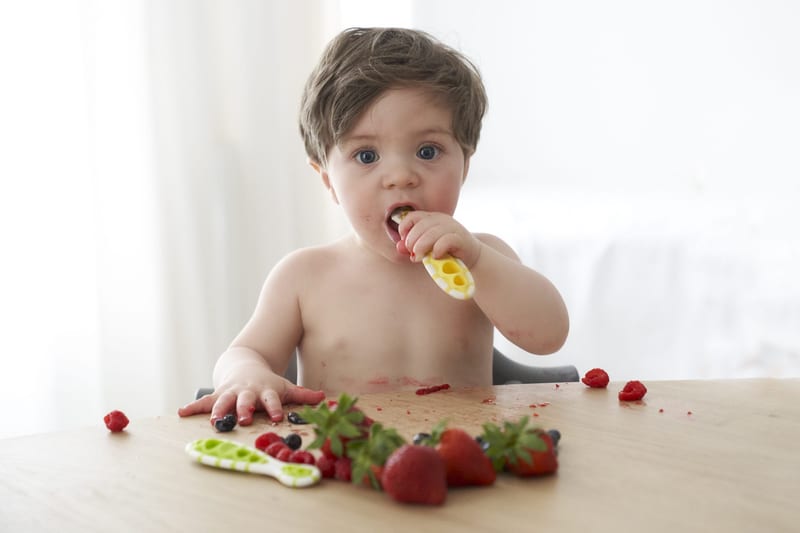 Cognikids Dip Weaning Pre-Spoon