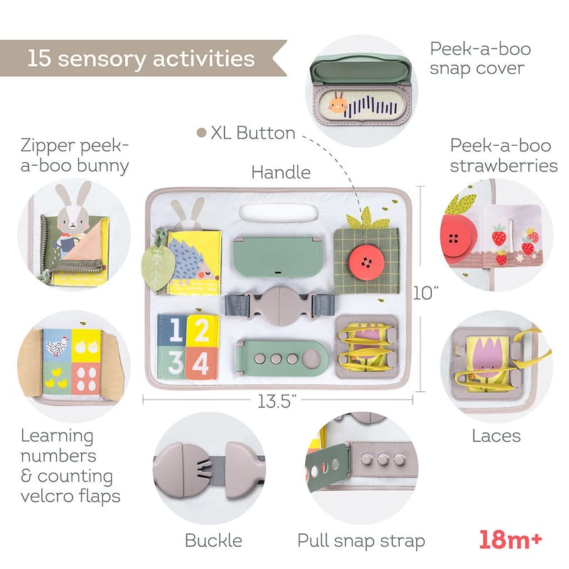 Taf Toys Activity Buckles Board | 18 months+