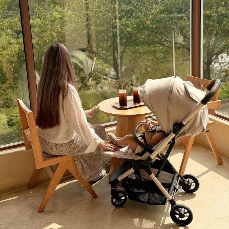 Daiichi The Space Compact Air Cabin Stroller