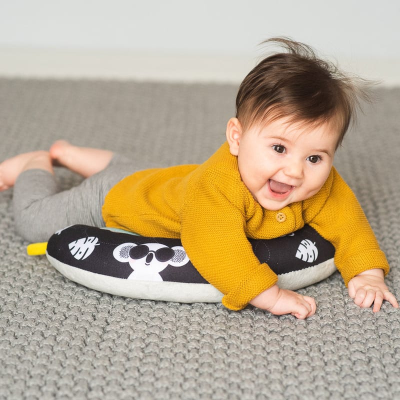 Taf Toys 2 in 1 Tummy Time Pillow | 0 months+