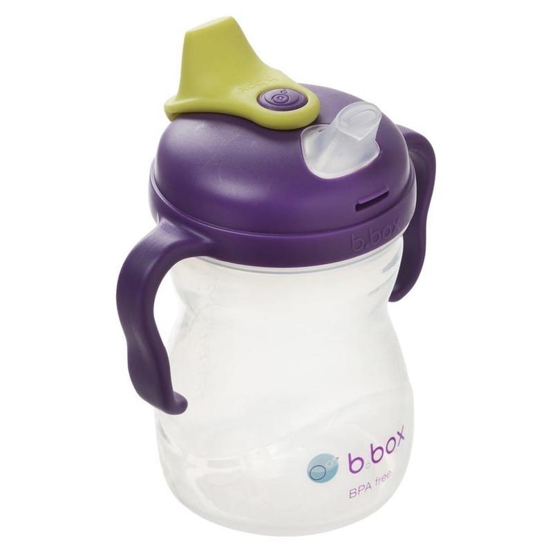 B.Box Spout Cup