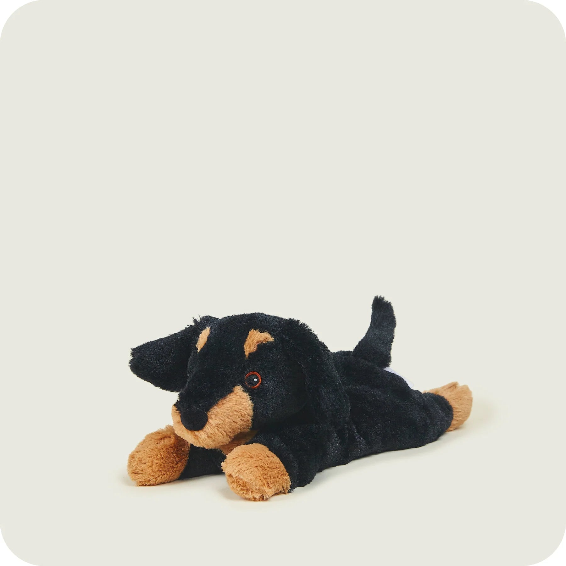 Warmies Soft Toy Junior Dachshund
