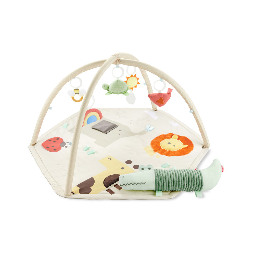 Skip Hop Geometric Wonders Activity Gym