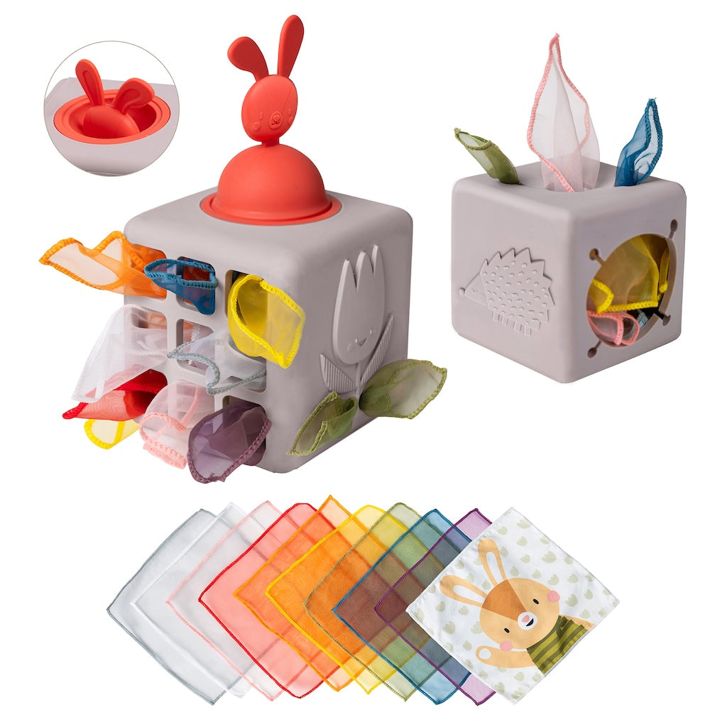 Taf Toys Pop Up Tissue Box | 12 months+