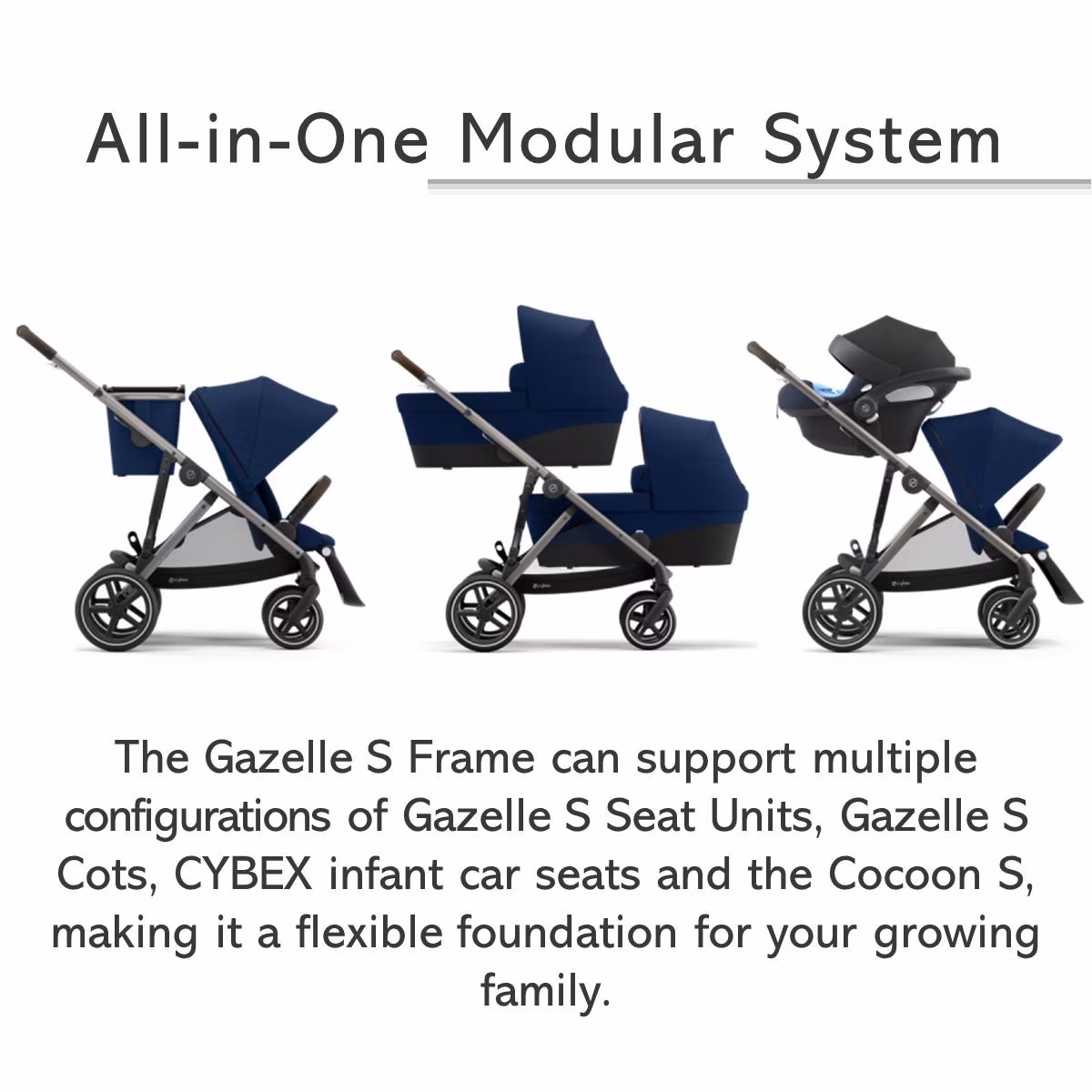 CI_gazelle_8.JPG