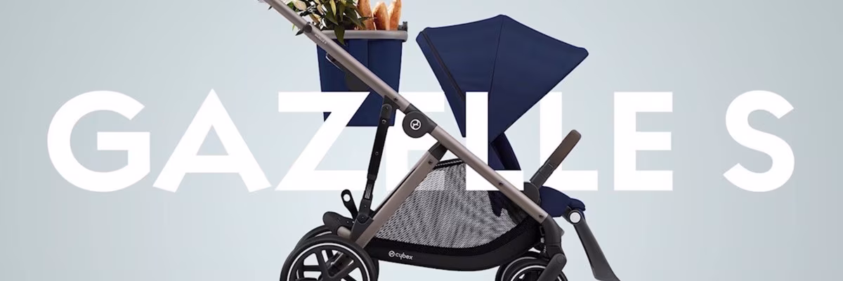 CI_gazelle_1.JPG