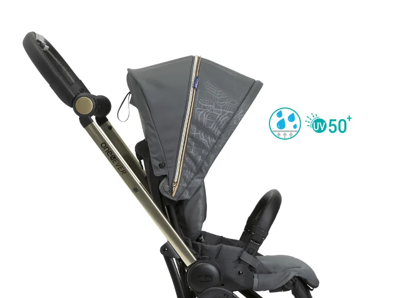 First-Seat-(3).png?w=800&h=600