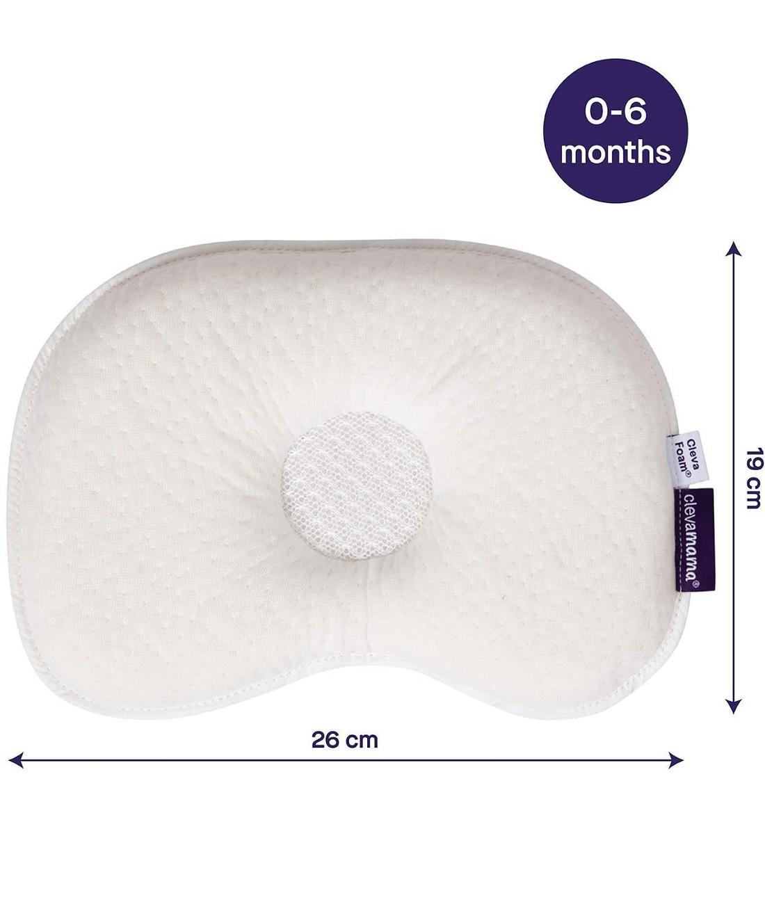 CI.3100_2.jpg