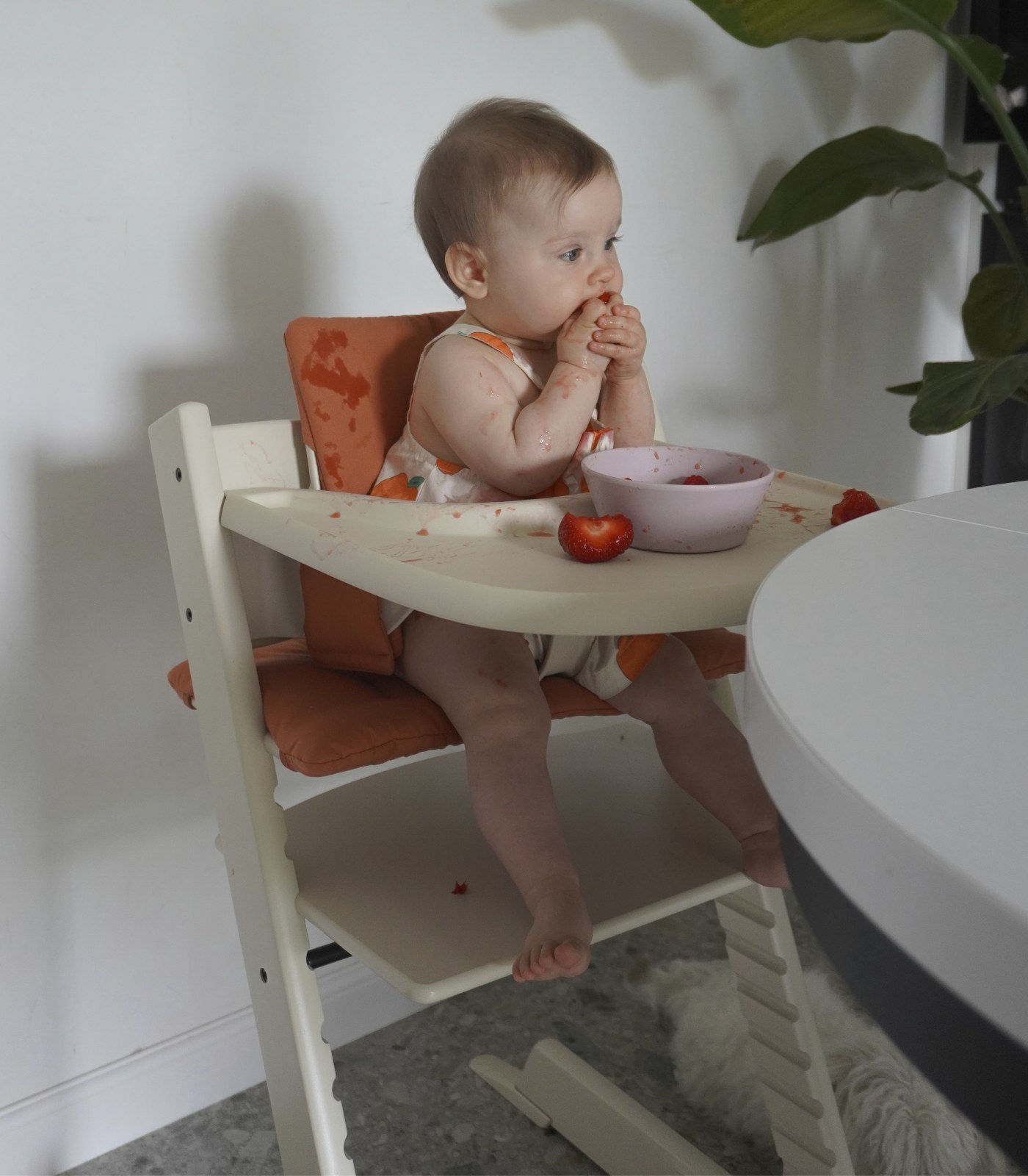 A baby at the table with a Stokke Tray on the Tripp Trapp Baby Set