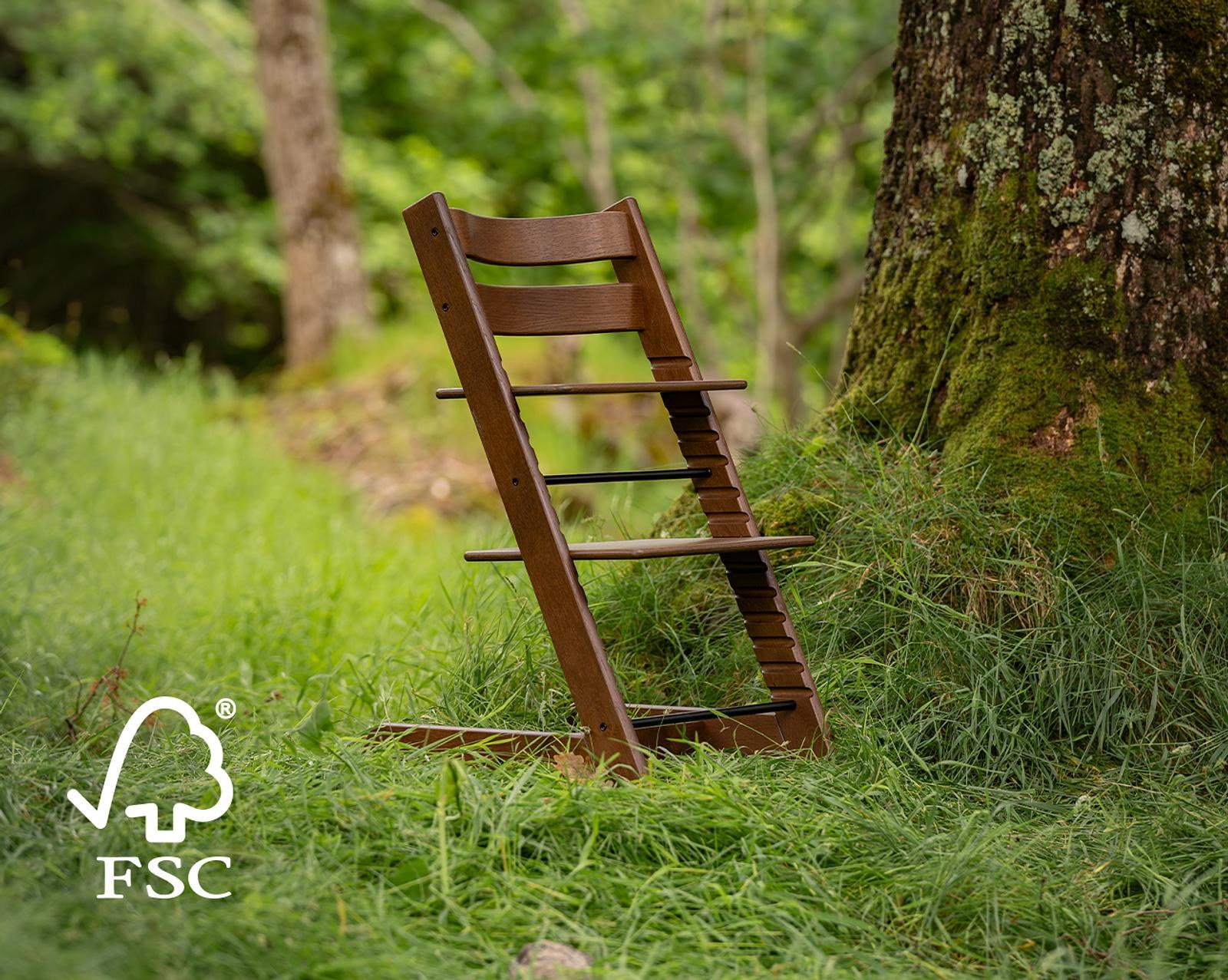 Brown Tripp Trapp chair leaning against a moss-covered tree in a forest