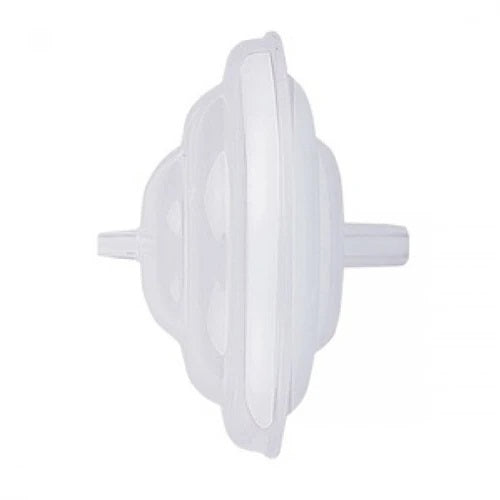 Spectra Backflow Protector